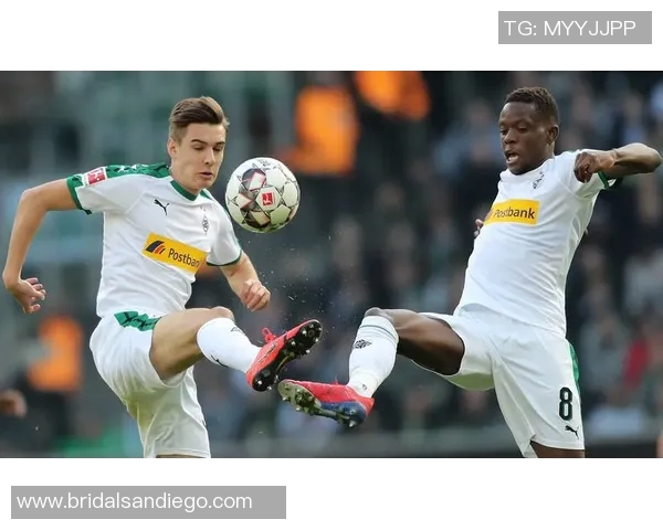 德甲焦点大战：多特蒙德vs拜仁，球迷热情高涨