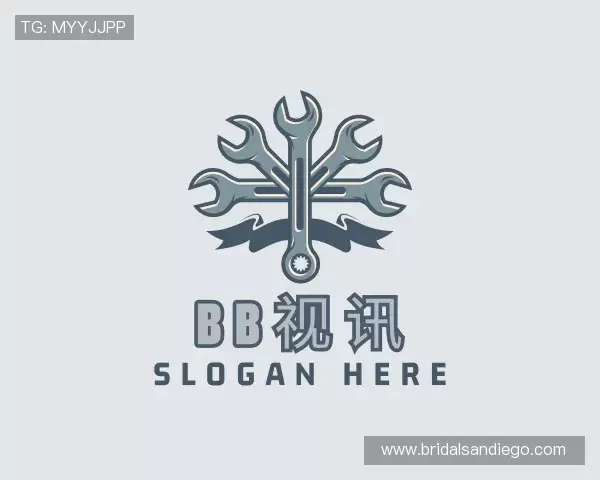 介绍BB视讯官方网址